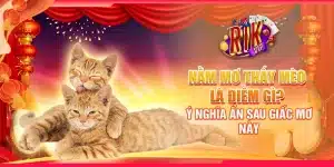 8 nam mo thay meo la diem gi y nghia an sau giac mo nay