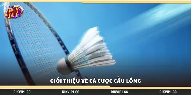 Mẹo chọn kèo cược cầu lông – Nhận biết kèo thơm dễ thắng 1 Tổng quan về hình thức cá cược môn cầu lông