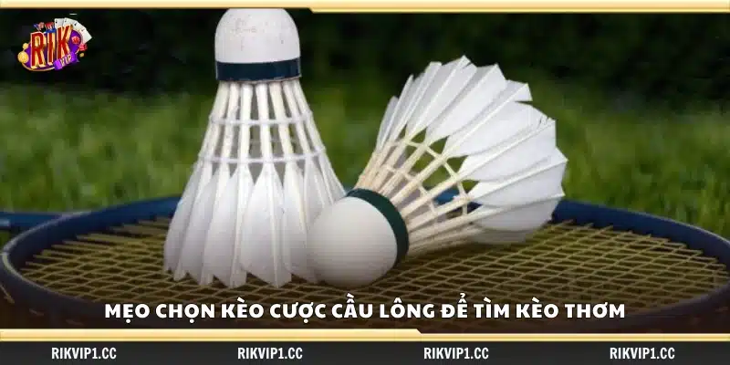 Mẹo chọn kèo cược cầu lông – Nhận biết kèo thơm dễ thắng 3 Mẹo chọn kèo cược cầu lông để tìm kèo thơm